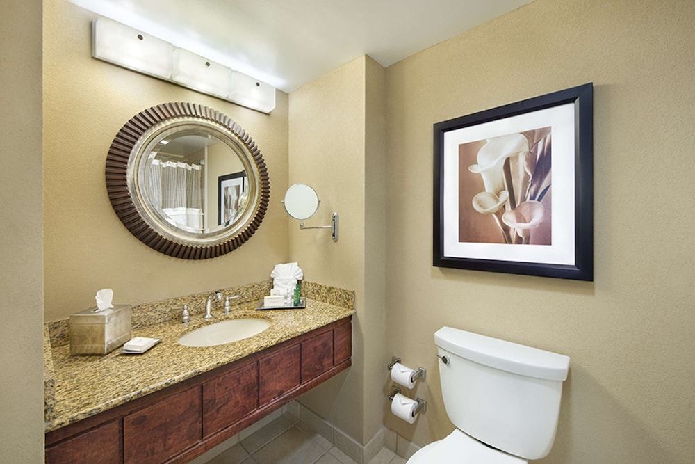 Hilton Orlando Lake Buena Vista Disney Springs Area - photo 41