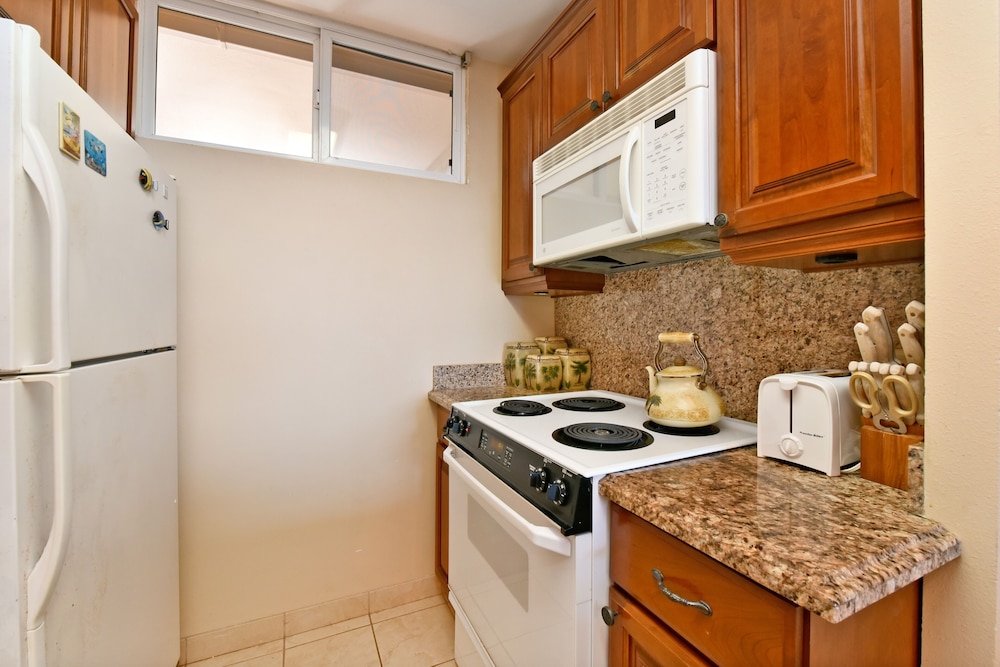 Mahana Resort #305 1 Br Condo - photo 15