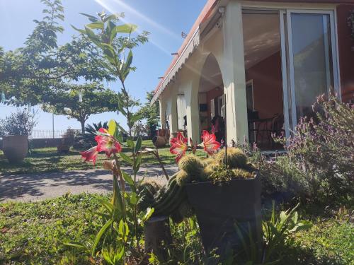 Sun N Sand - last minute hotel in Unknown City