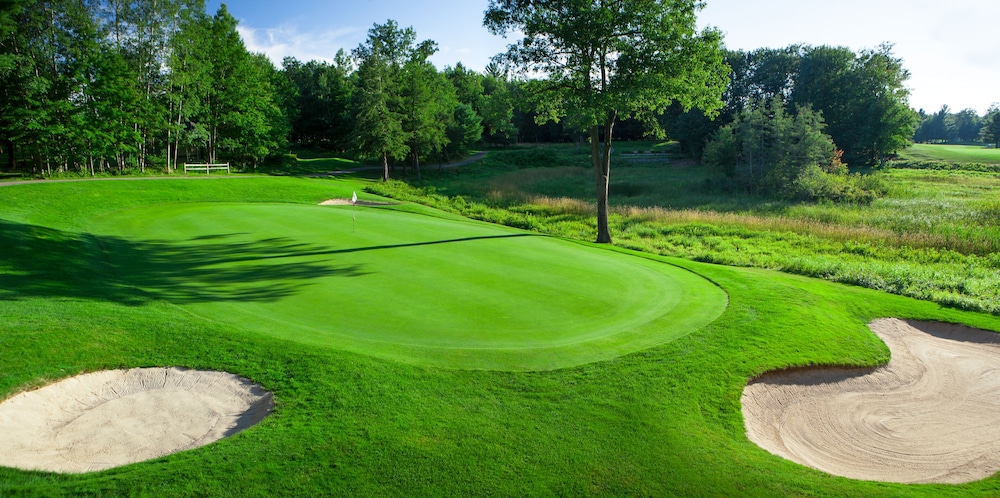 Manistee National Golf and Resort - photo 11