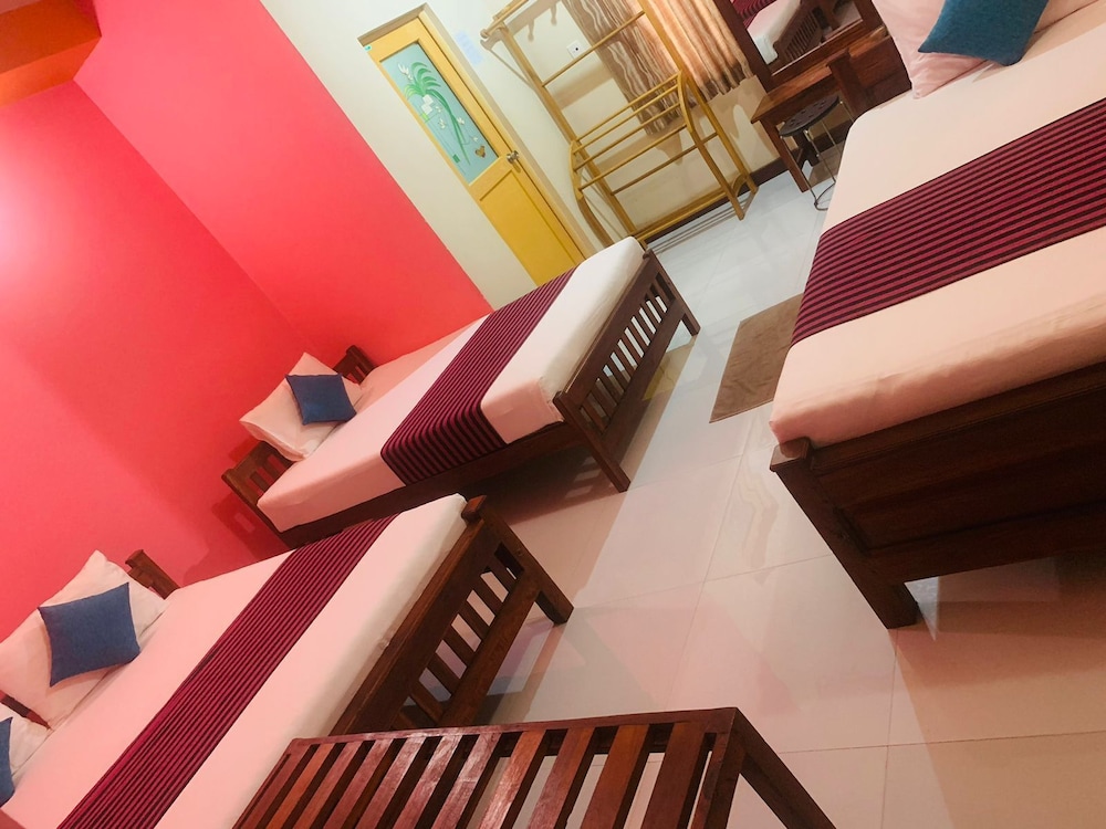 Cinnamon Tree in Anuradhapura, Sri Lanka