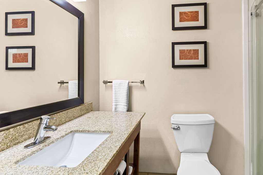 Comfort Suites Vincennes - photo 14