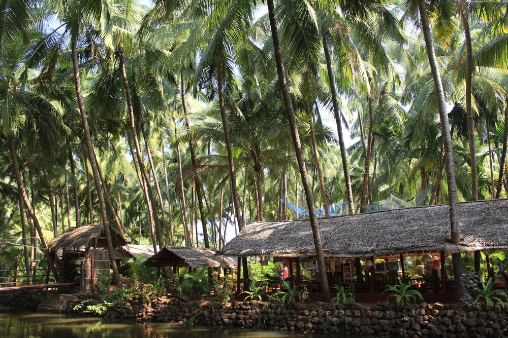 Palm Trees Ayurvedic Heritage in Canacona, India