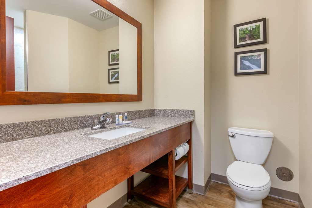 Comfort Inn & Suites Van Buren Fort Smith - photo 18