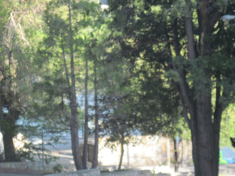 The North Shore Inn - photo 116