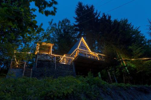 Forest House