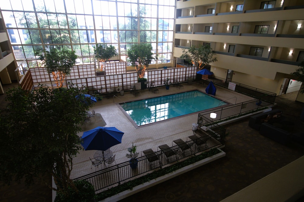 Atrium Hotel and Suites - photo 27