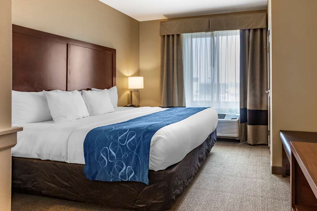 Comfort Suites Airport University - photo 12