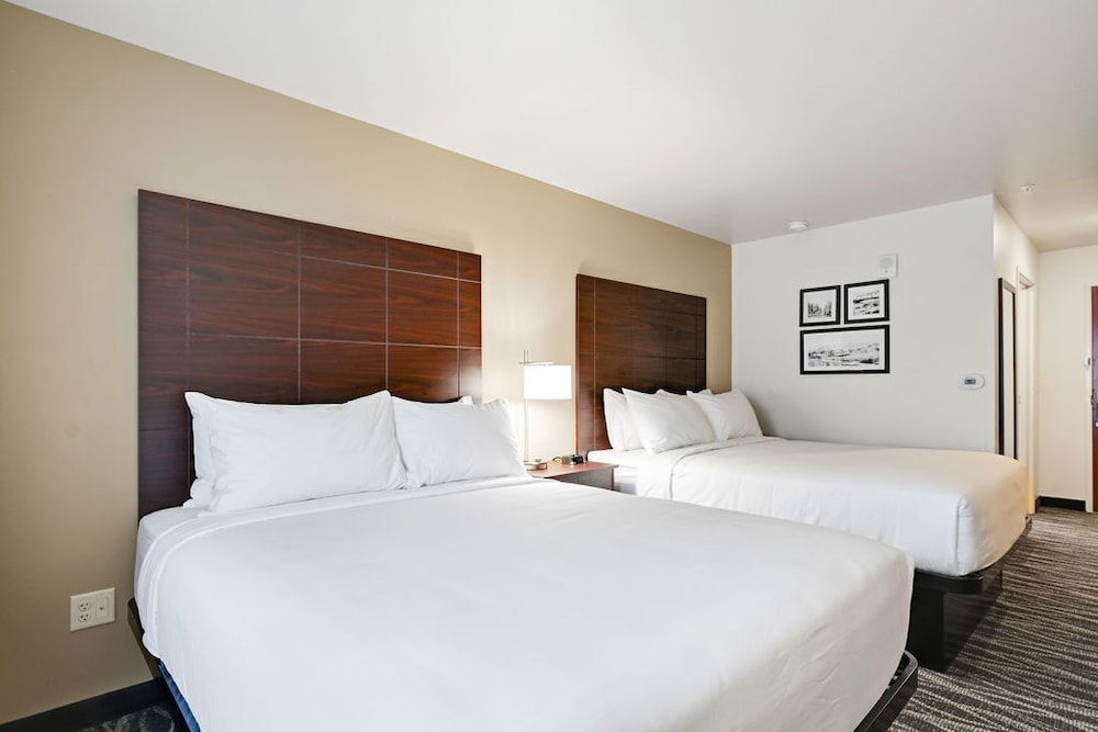 Cobblestone Hotel & Suites Mosinee - photo 45