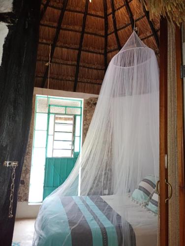 Hotel y Museo Aldea Maya Toktli Orígenes Casa Maya Toh Alberca Wifi Starlink Tour Museo in Izamal, Mexico