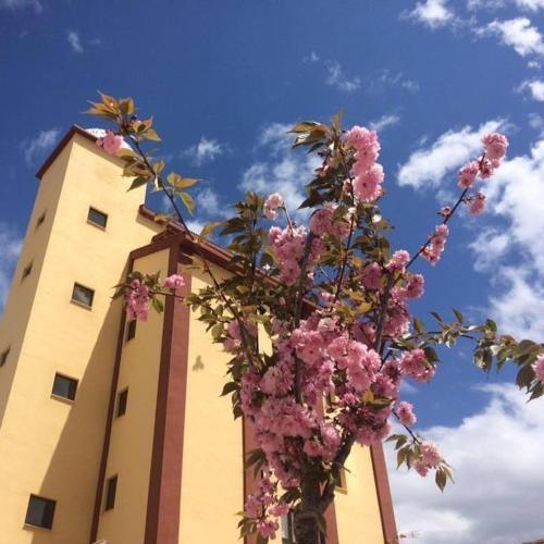 Mirador El Silo — hotel in Bello