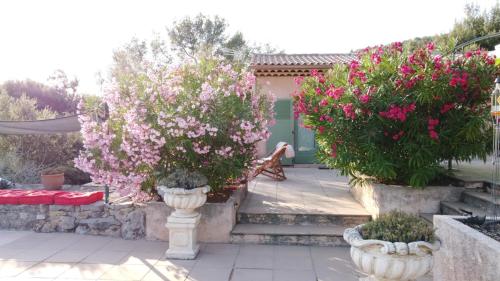 Le Petit Coin de Paradis — Callas — photo 5