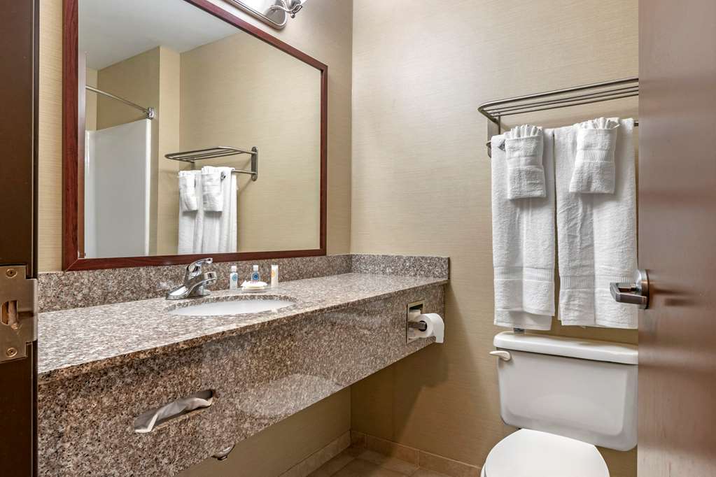 Comfort Inn Williamsport - photo 13
