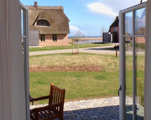 Reetdorf Geltinger Birk Künstlerkate Wildpferd in Kappeln, Germany