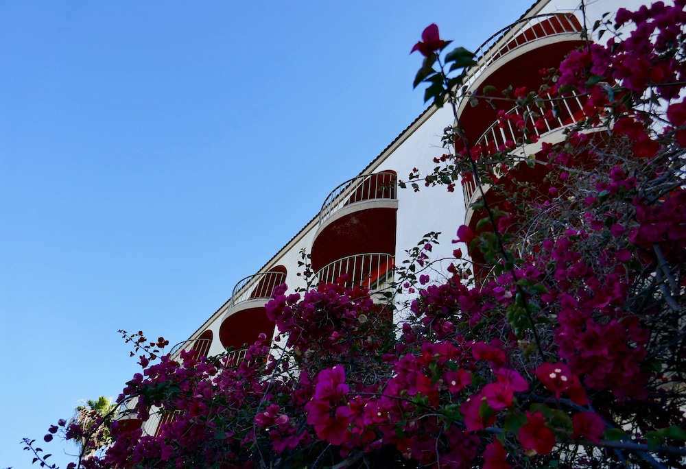 Golden Sails Hotel - photo 47