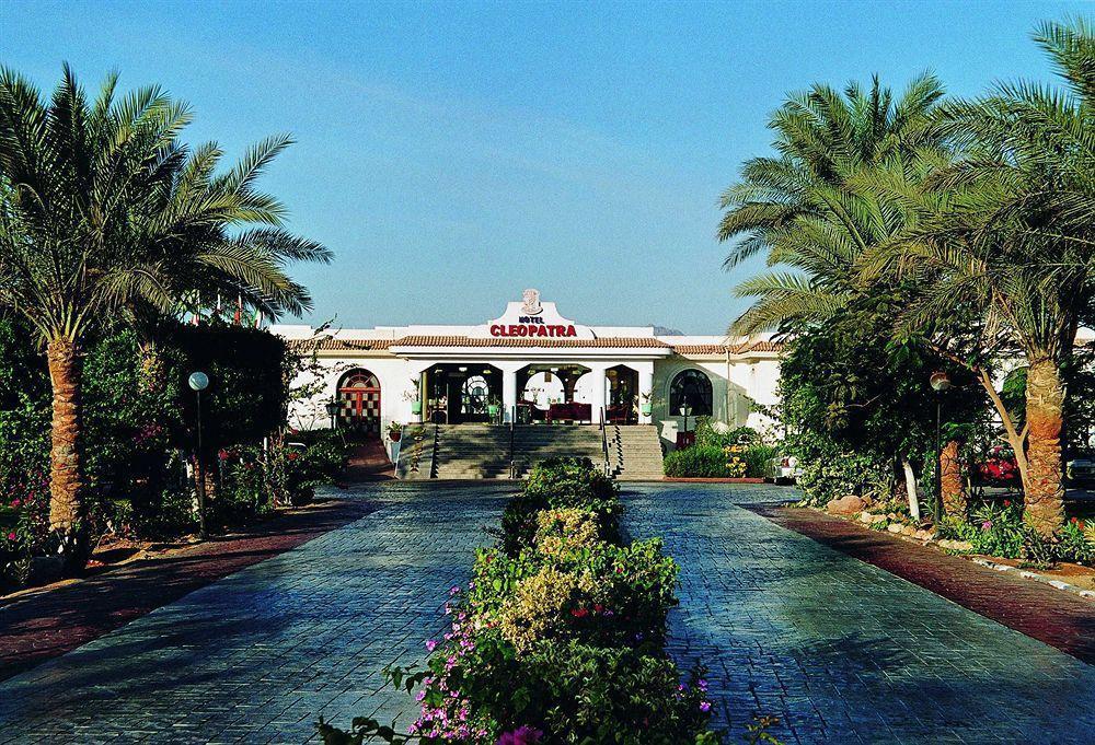 Cleopatra Tsokkos - last minute hotel in Sharm El-Sheikh