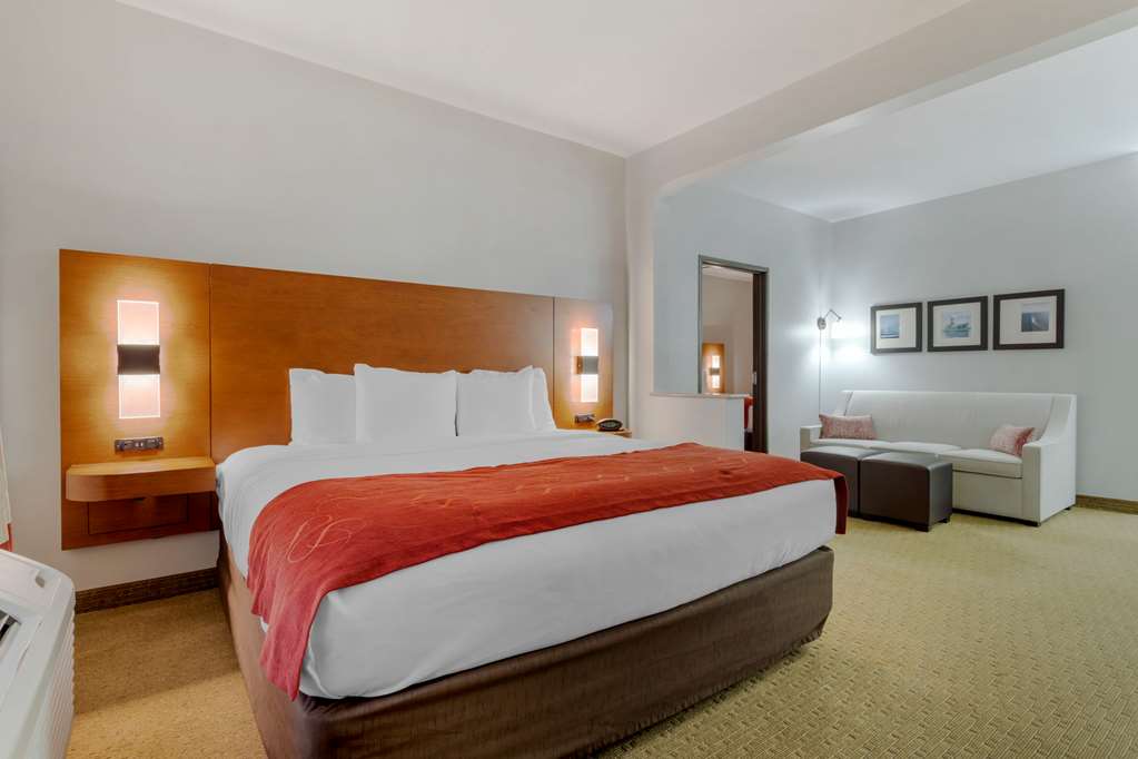 Comfort Suites La Porte Baytown - photo 29