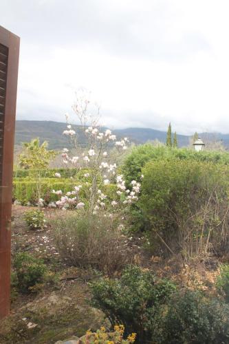 El Balcon De La Vera — hotel in Villanueva De La Vera