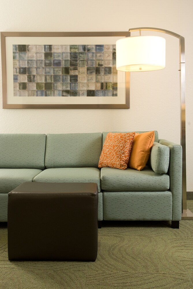 SpringHill Suites by Marriott Convention Center I drive - photo 10