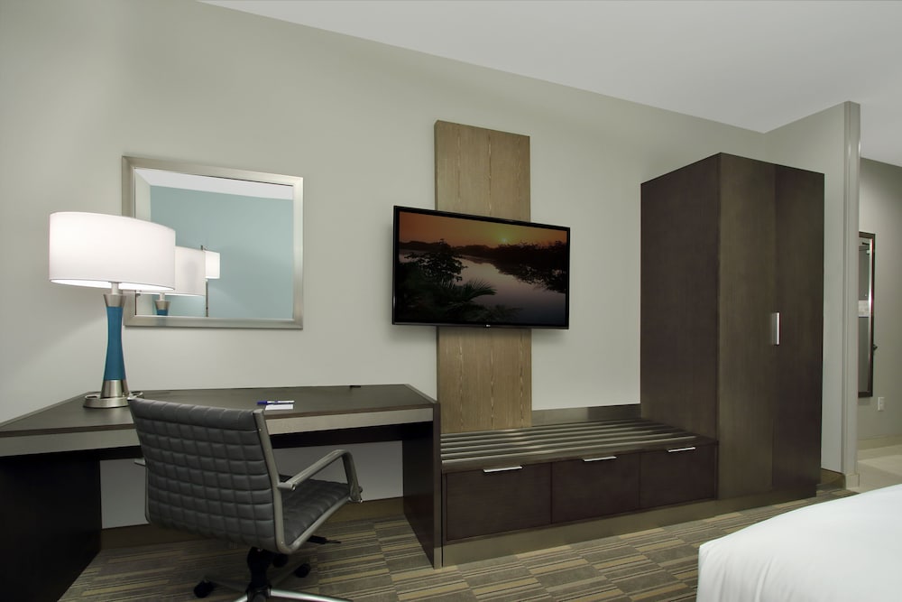 Holiday Inn Express & Suites Lake Charles South Casino Area by IHG - photo 22