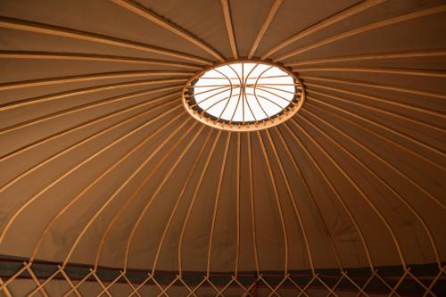 Ash Yurt — Edenbridge — photo 3
