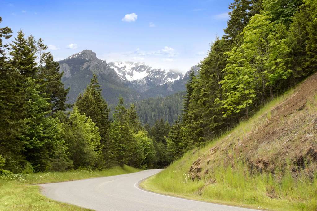 Super 8 by Wyndham Port Angeles at Olympic National Park - photo 3