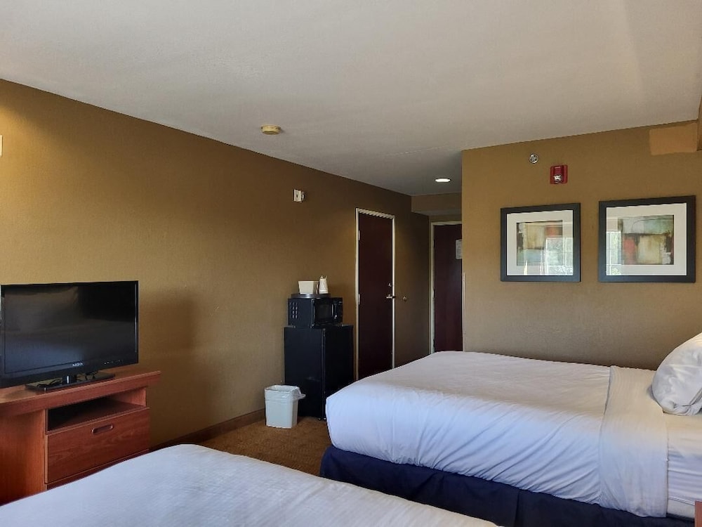 Starkville Inn & Suites - photo 8