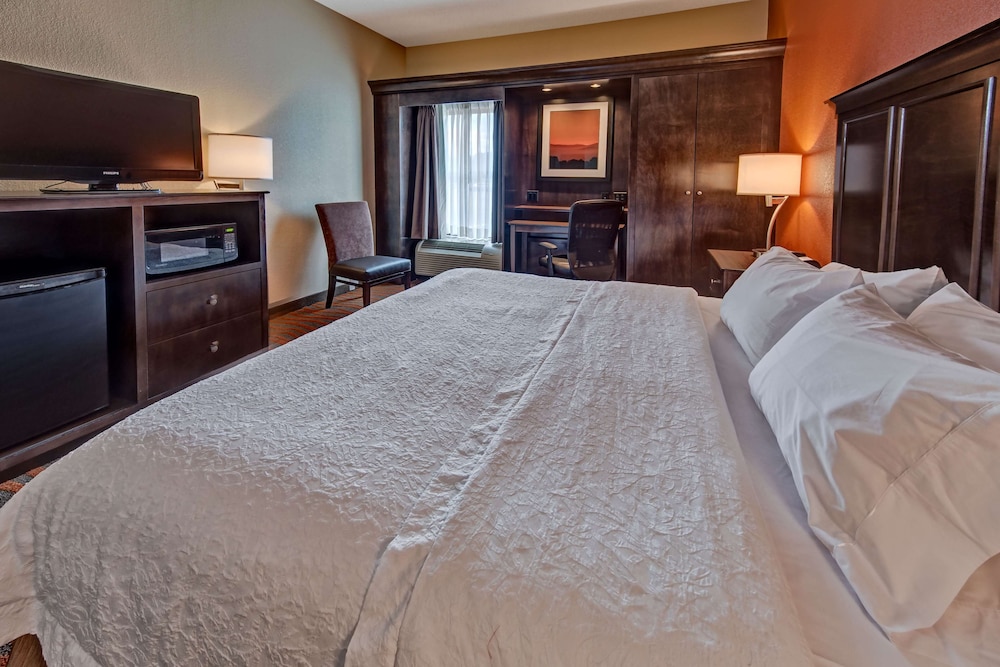 Hampton Inn by Hilton Clarksville - photo 20