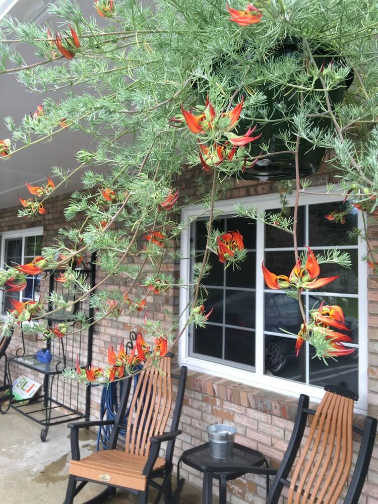 The Cardinal Inn - photo 13