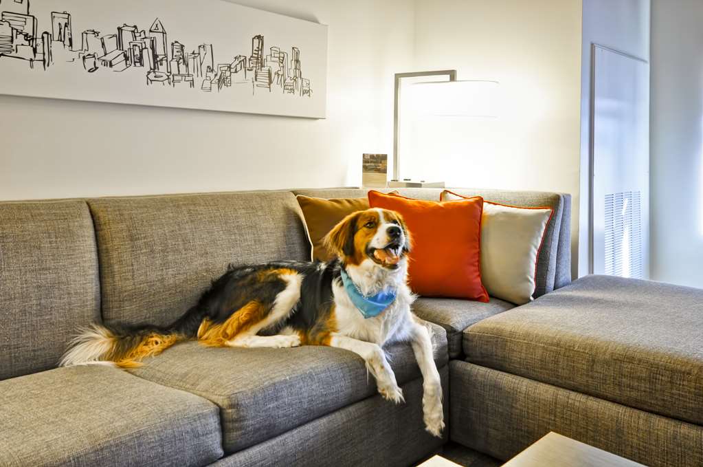 Hyatt House Atlanta Cobb Galleria - photo 27