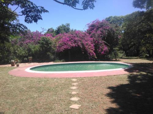 Limerick cottages — Bulawayo — photo 4