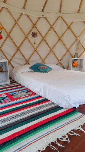 Guardianas del Bosque - last minute hotel in Piriapolis