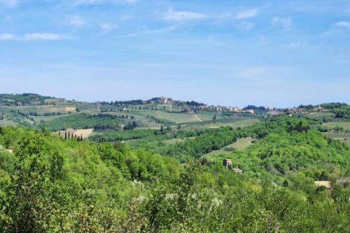 Lindo Apartamento no coração do Chianti — 4-Star Luxury Hotel in Castellina In Chianti, Italy