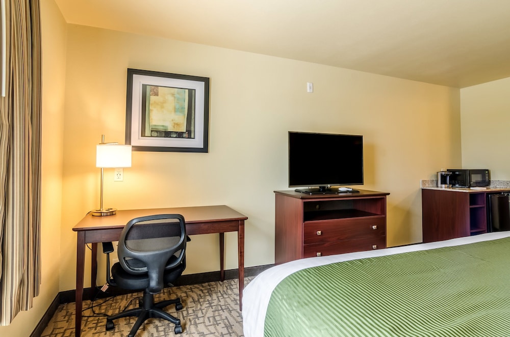 Cobblestone Inn & Suites Oberlin - photo 17
