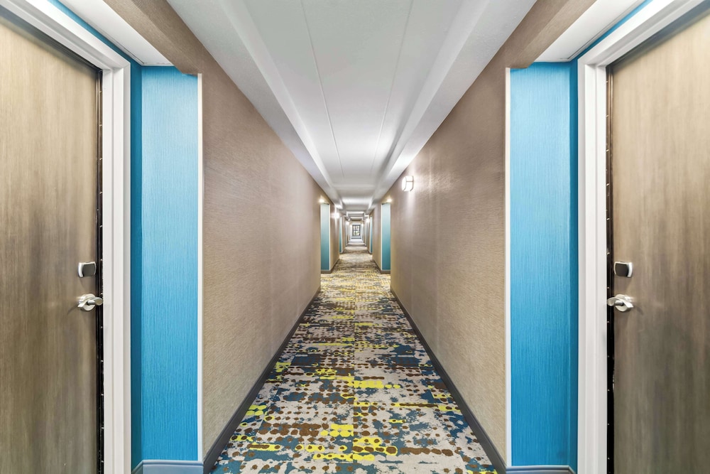 Hampton Inn Lexington Georgetown - photo 24