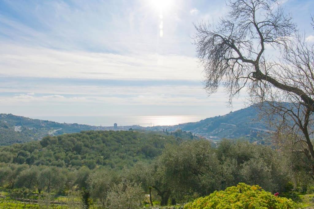 Il Poggio — Imperia — photo 4