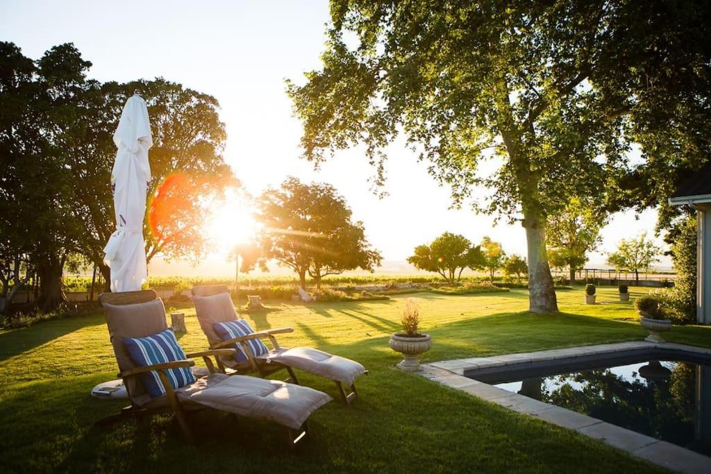 Doran Vineyards in Paarl, South Africa