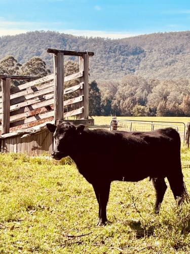 Peppercorns Riverside Farm Stay — hotel in Clarence Town
