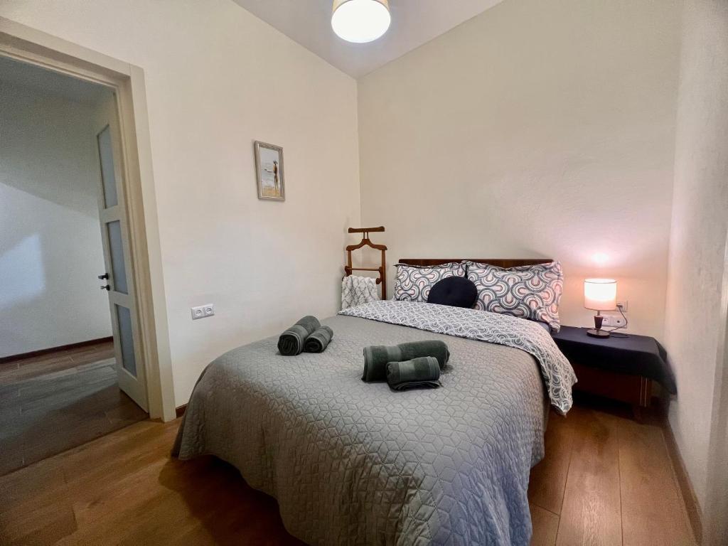 Cozy Apartment Near Holiday Inn