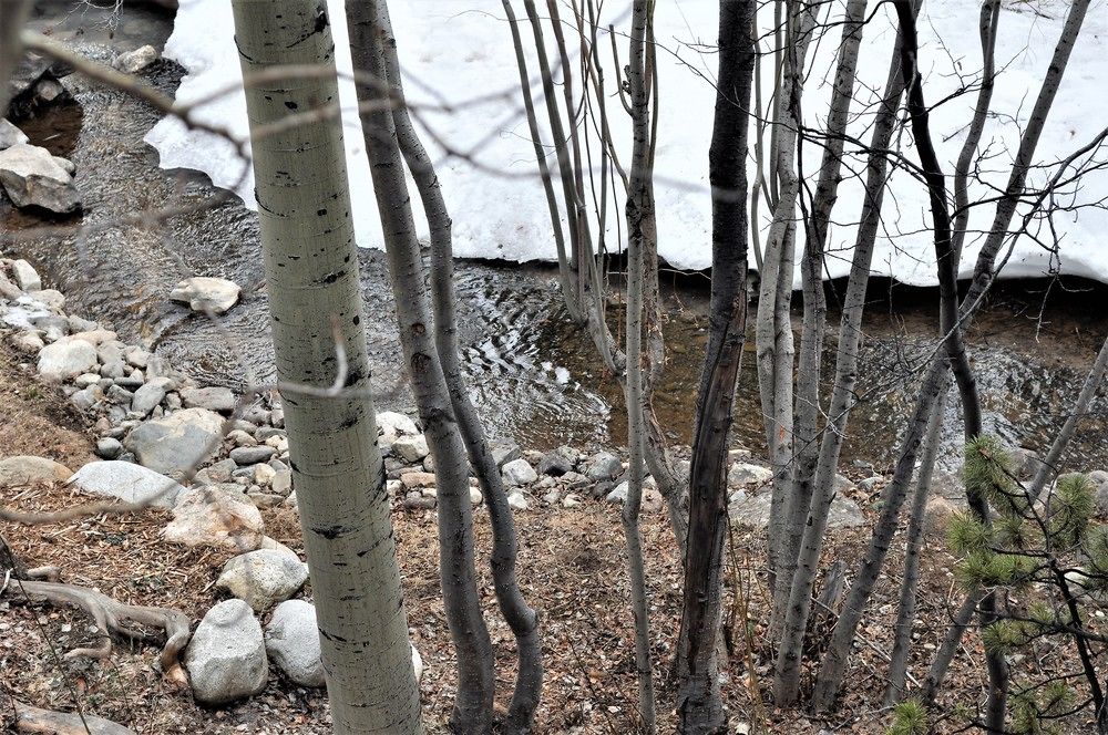 Frisco Resort By Rocky Mountain Resort Management - photo 72