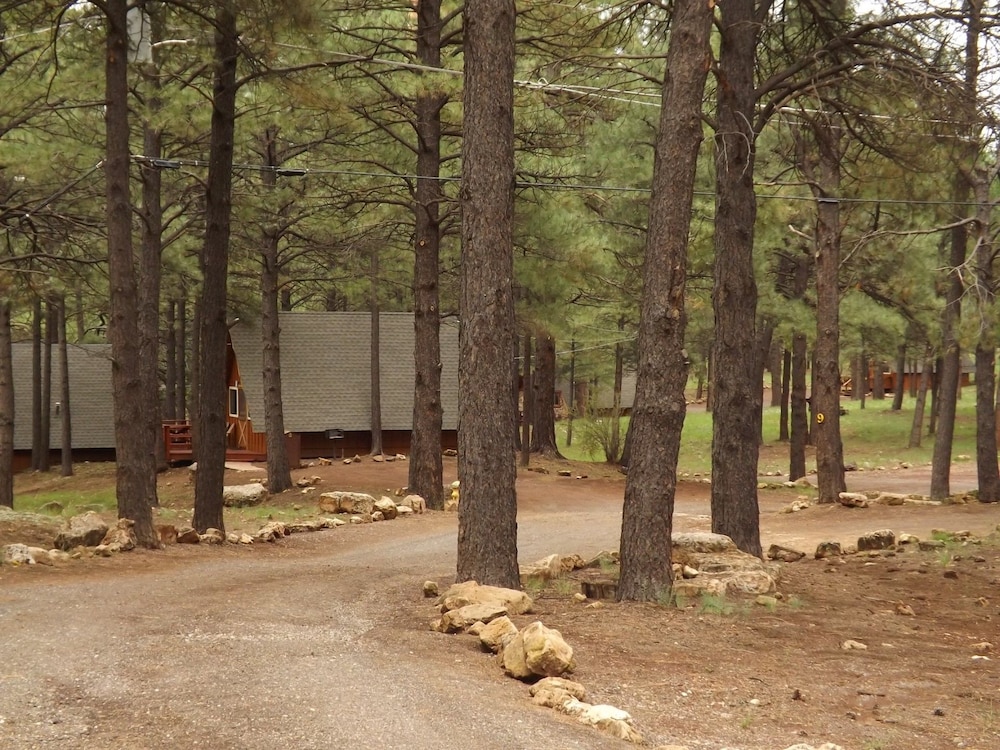 Arizona Mountain Inn and Cabins - photo 334
