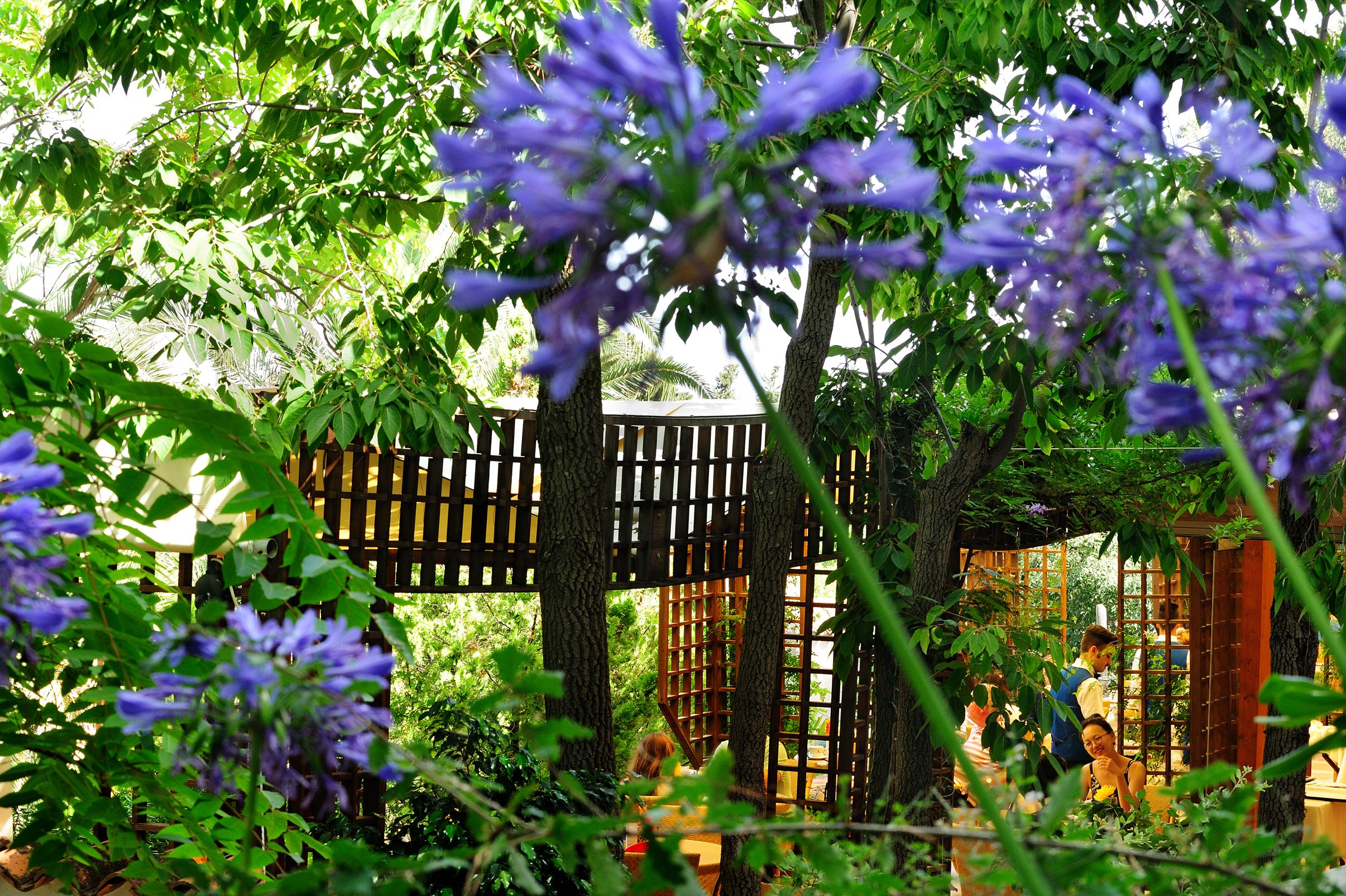 Alberi Del Paradiso in Cefalu, Italy