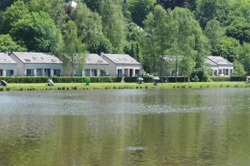 Libellule Style Vielsalm — Vielsalm