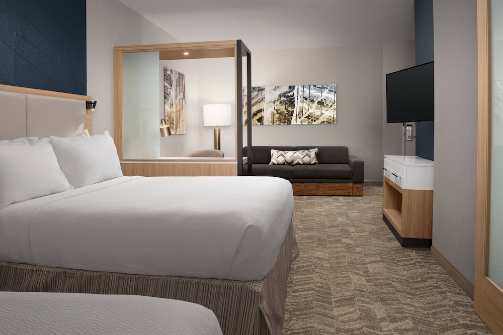 SpringHill Suites by Marriott Charleston Airport & Convention Center - photo 18