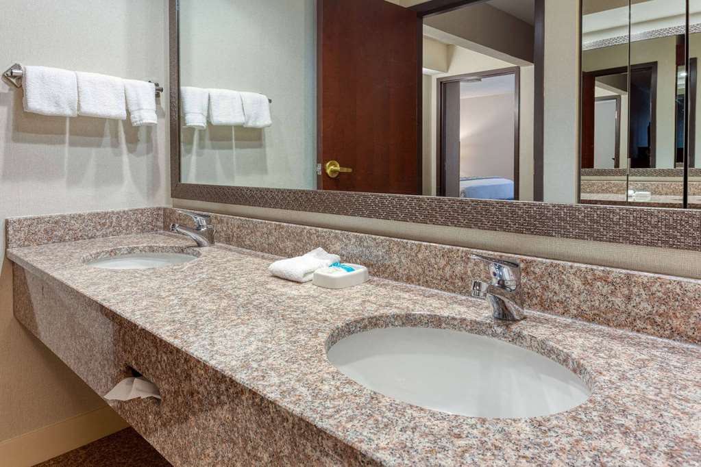 Heritage Inn & Suites St. Louis Fenton Trademark by Wyndham - photo 21