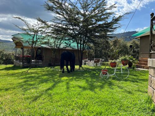 Nyumba ya Farasi — Naivasha — photo 2