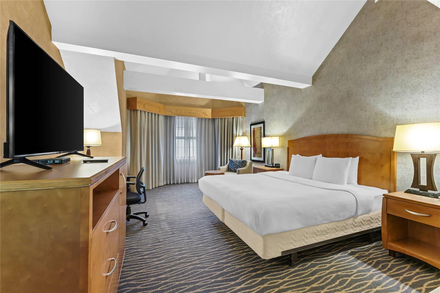 Radisson Hotel Salt Lake City Airport - photo 50