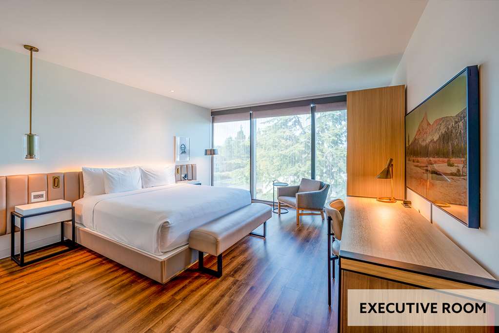 Shashi Hotel Mountain View Palo Alto - photo 18
