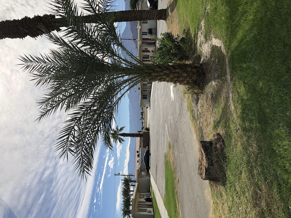 Western Sands Motel - photo 18