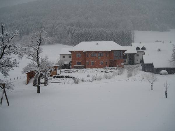 Bauernhof Serner — Molln — photo 5